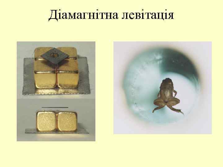 Діамагнітна левітація 