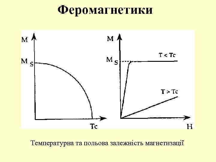Феромагнетики Температурна та польова залежність магнетизації 