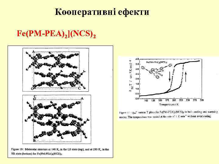 Кооперативні ефекти Fe(PM-PEA)2](NCS)2 