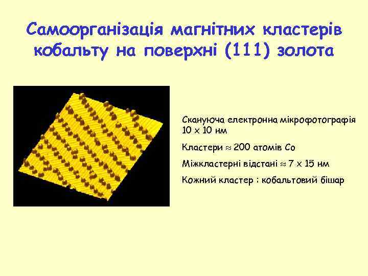 Самоорганізація магнітних кластерів кобальту на поверхні (111) золота Скануюча електронна мікрофотографія 10 x 10