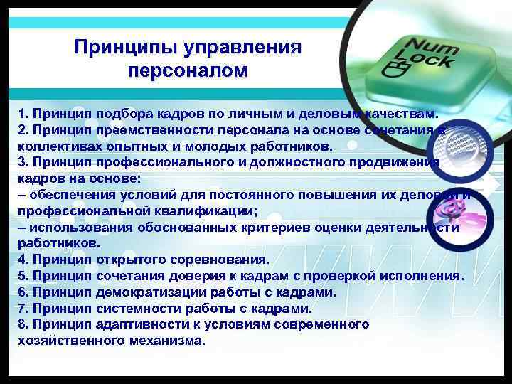 Принципы сотрудника. Базовые принципы управления персоналом. Принципы управления коллективом. Общие принципы управления персоналом. Основные принципы управления персоналом.