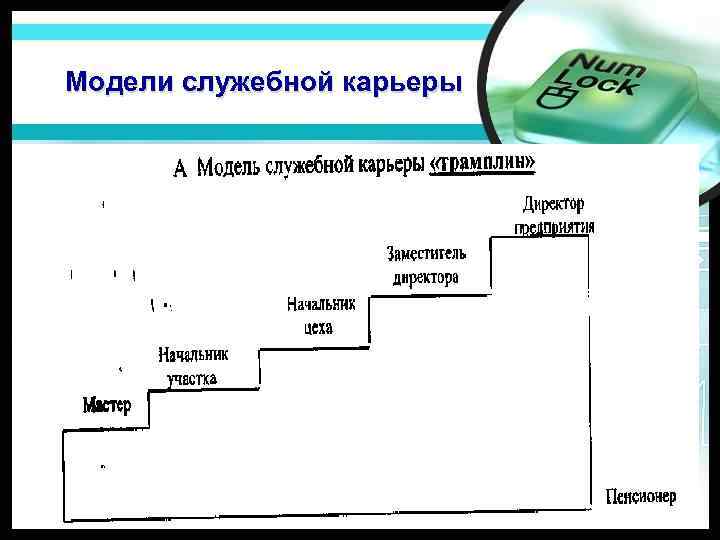 Модели служебной карьеры 