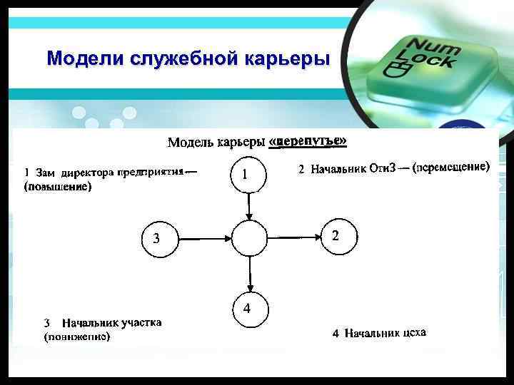 4 модели карьеры