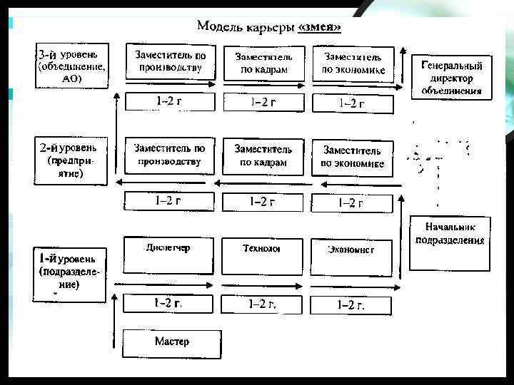 Модели карьеры. Модели построения карьеры. Модель карьеры змея. Планирование служебной карьеры. Служебная карьера менеджера в виде таблицы.