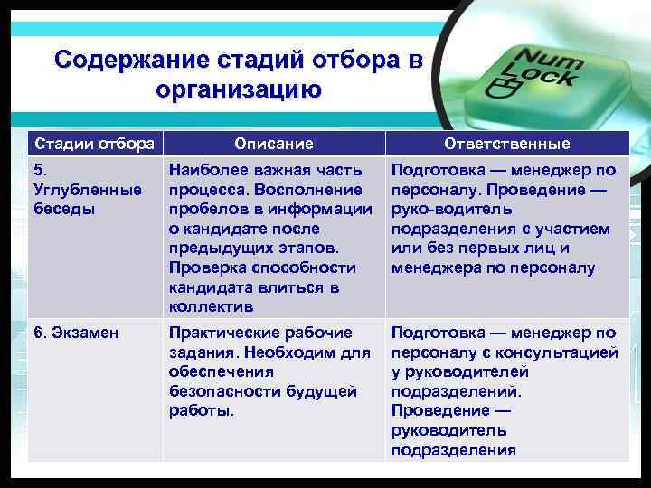 Содержание стадий отбора в организацию Стадии отбора Описание Ответственные 5. Углубленные беседы Наиболее важная