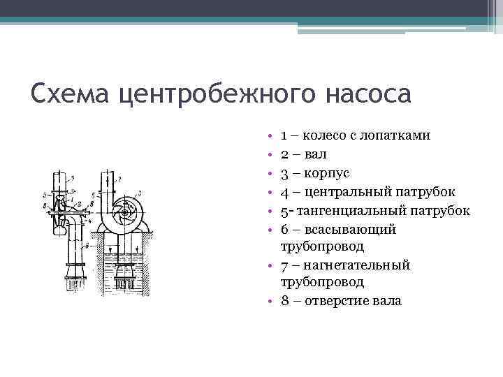 Схема центробежного насоса • • • 1 – колесо с лопатками 2 – вал