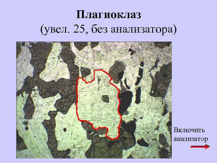 Плагиоклаз (увел. 25, без анализатора) Включить анализатор 