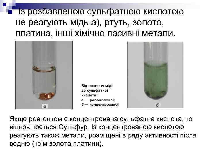 n Із розбавленою сульфатною кислотою не реагують мідь а), ртуть, золото, платина, інші хімічно