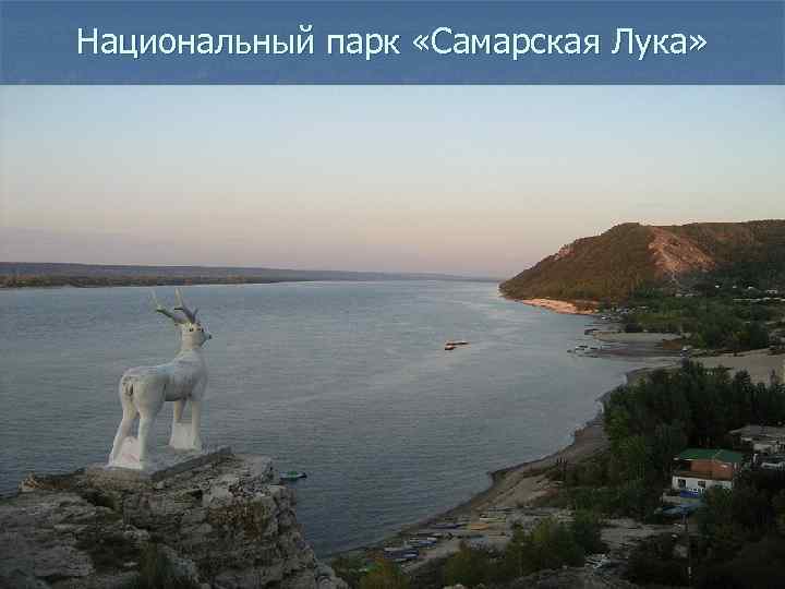 Национальный парк «Самарская Лука» 
