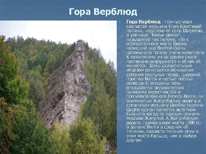 Гора Верблюд n Гора Верблюд - причудливая скалистая вершина близ Крестовой поляны, недалеко от