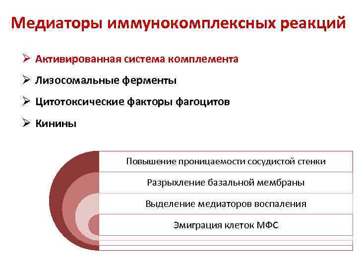 Медиаторы иммунокомплексных реакций Ø Активированная система комплемента Ø Лизосомальные ферменты Ø Цитотоксические факторы фагоцитов