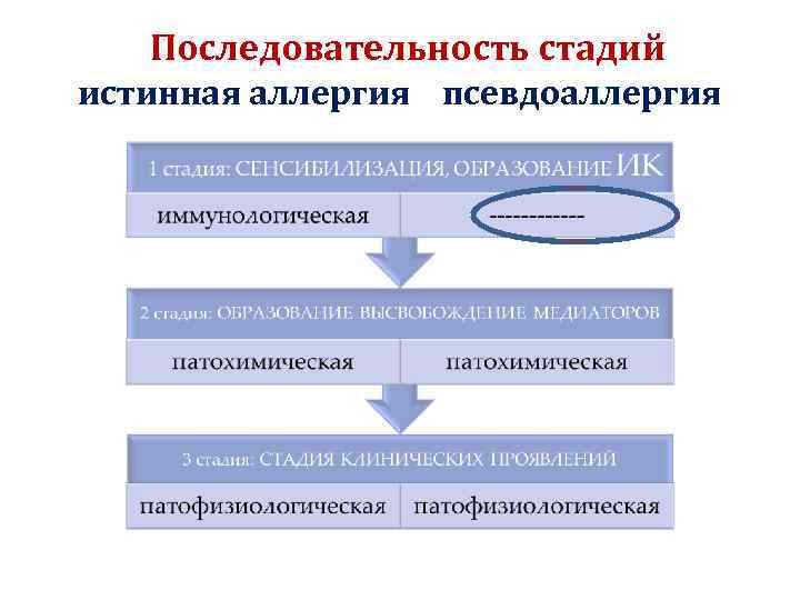  Последовательность стадий истинная аллергия псевдоаллергия 