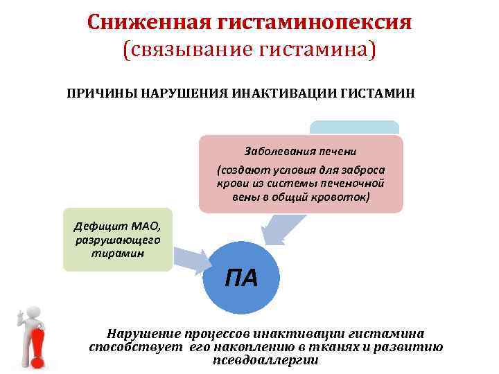 Сниженная гистаминопексия (связывание гистамина) ПРИЧИНЫ НАРУШЕНИЯ ИНАКТИВАЦИИ ГИСТАМИН Заболевания печени почек (создают условия для