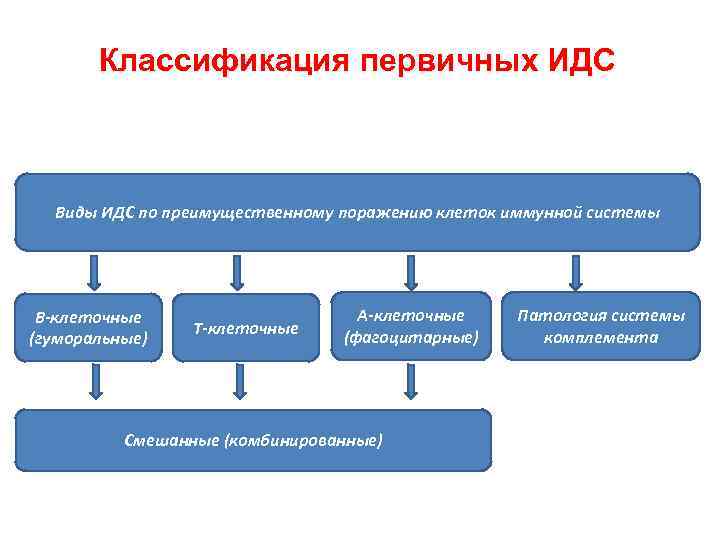 Классификация первичных ИДС Виды ИДС по преимущественному поражению клеток иммунной системы В-клеточные (гуморальные) Т-клеточные