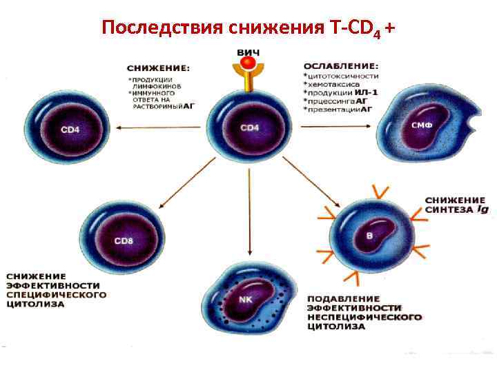 Последствия снижения Т-CD 4 + 