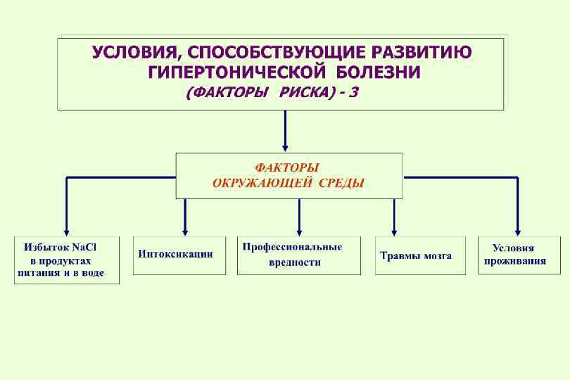 Патофизиология в схемах и таблицах нурмухамбетова