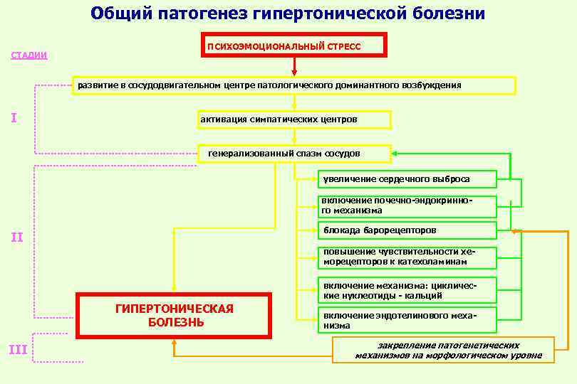 Общий патогенез гипертонической болезни СТАДИИ ПСИХОЭМОЦИОНАЛЬНЫЙ СТРЕСС развитие в сосудодвигательном центре патологического доминантного возбуждения