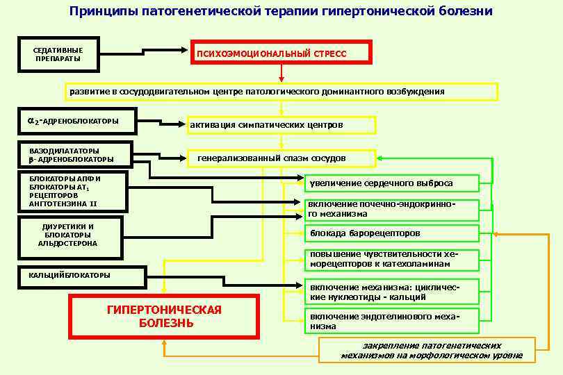 Принципы патогенетической терапии гипертонической болезни СЕДАТИВНЫЕ ПРЕПАРАТЫ ПСИХОЭМОЦИОНАЛЬНЫЙ СТРЕСС развитие в сосудодвигательном центре патологического