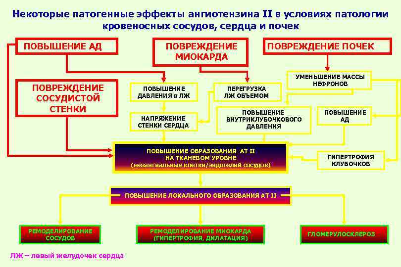 Ремоделирование сосудистой стенки