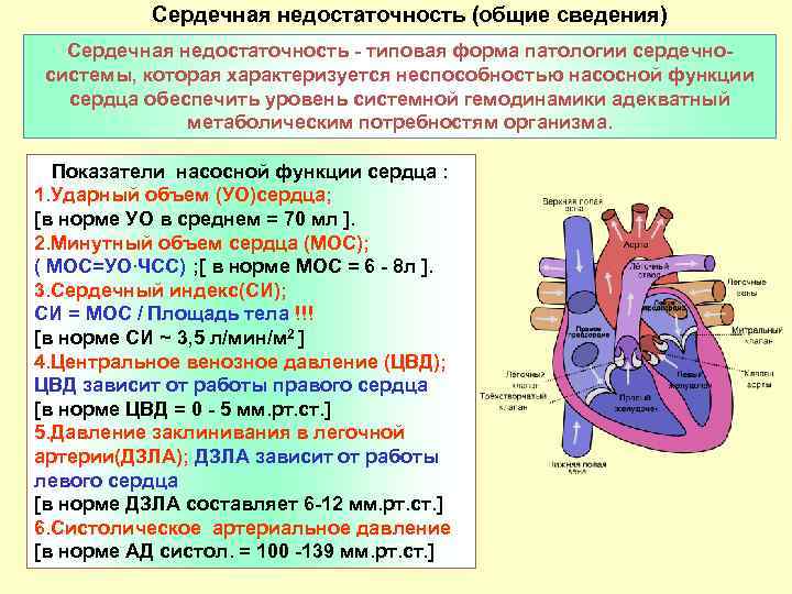 Сердечная недостаточность (общие сведения) Сердечная недостаточность - типовая форма патологии сердечносистемы, которая характеризуется неспособностью