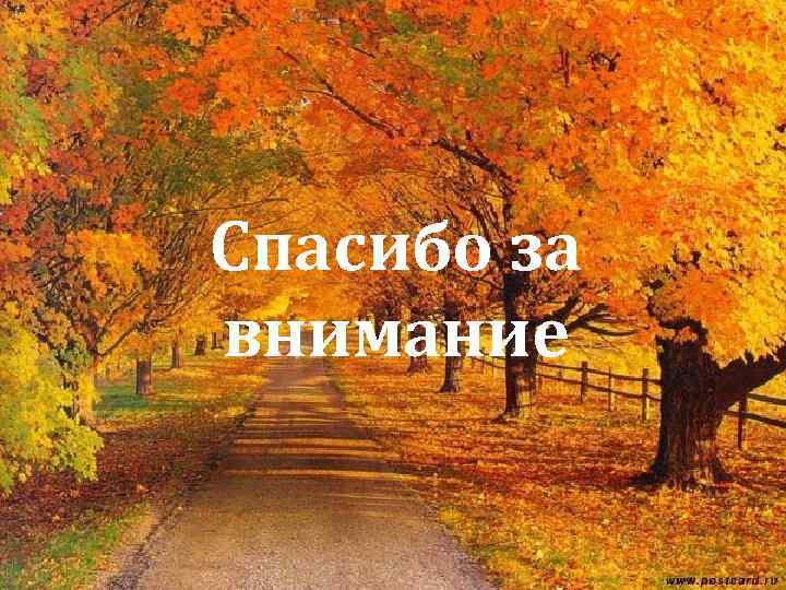 Спасибо за внимание 