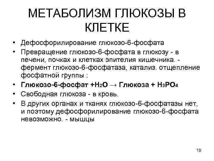 МЕТАБОЛИЗМ ГЛЮКОЗЫ В КЛЕТКЕ • Дефосфорилирование глюкозо-6 -фосфата • Превращение глюкозо-6 -фосфата в глюкозу