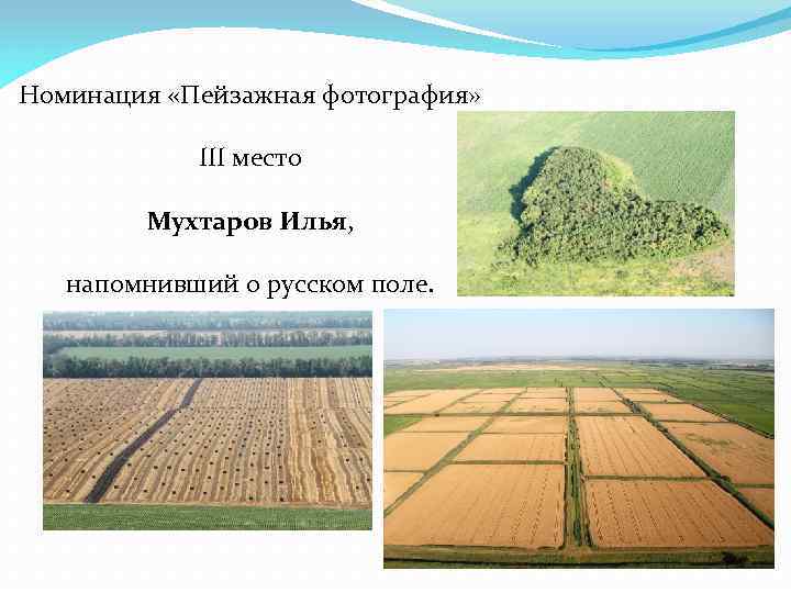 Номинация «Пейзажная фотография» III место Мухтаров Илья, напомнивший о русском поле. 