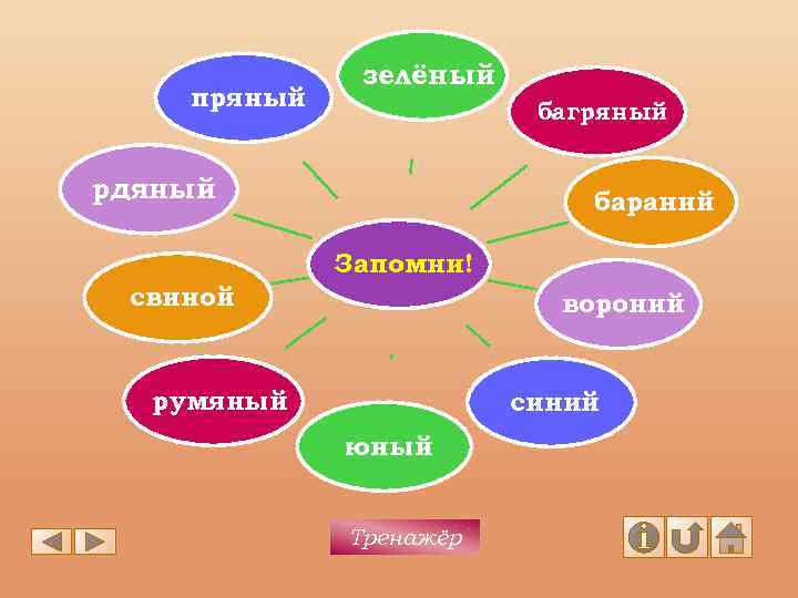 пряный зелёный багряный рдяный бараний Запомни! свиной вороний румяный синий юный Тренажёр 