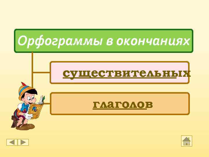 Орфограммы в окончаниях существительных глаголов 