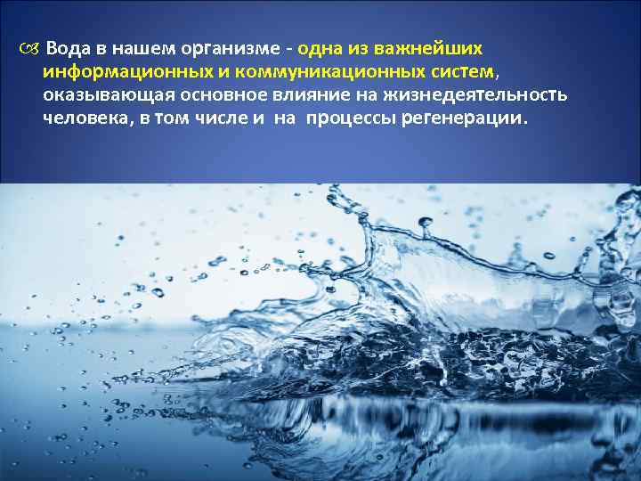  Вода в нашем организме - одна из важнейших информационных и коммуникационных систем, оказывающая