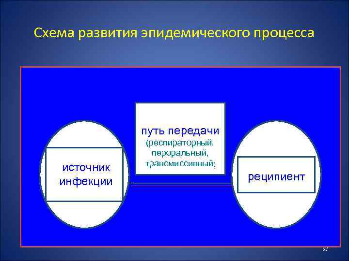 Схема развития эпидемического процесса путь передачи источник инфекции (респираторный, пероральный, трансмиссивный) реципиент 57 