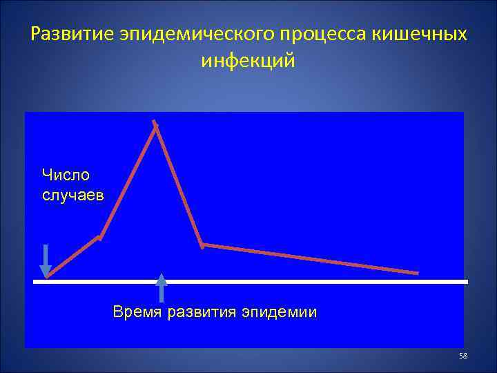 Развитие эпидемического процесса кишечных инфекций Число случаев Время развития эпидемии 58 