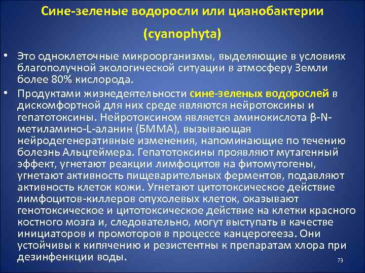 Сине-зеленые водоросли или цианобактерии (cyanophyta) • Это одноклеточные микроорганизмы, выделяющие в условиях благополучной экологической