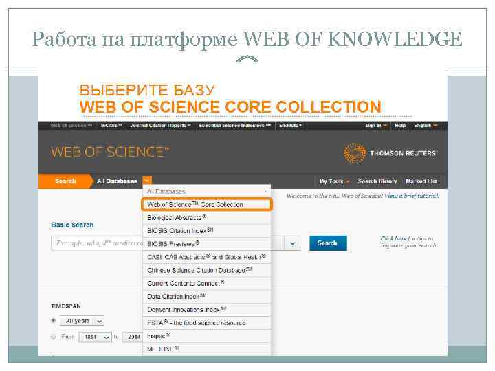 Работа на платформе WEB OF KNOWLEDGE 