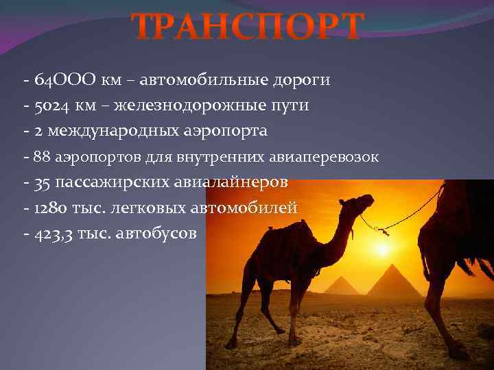 - 64 ООО км – автомобильные дороги - 5024 км – железнодорожные пути -