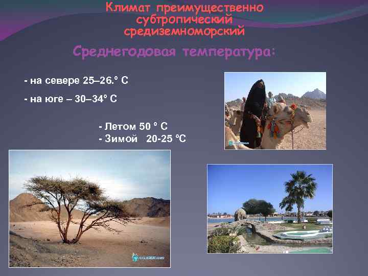 Климат преимущественно субтропический средиземноморский Среднегодовая температура: - на севере 25– 26. ° С -