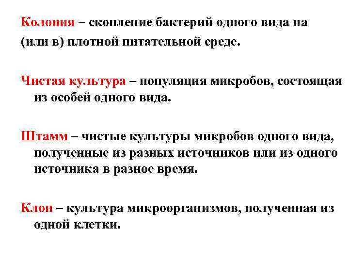 Колония – скопление бактерий одного вида на (или в) плотной питательной среде. Чистая культура