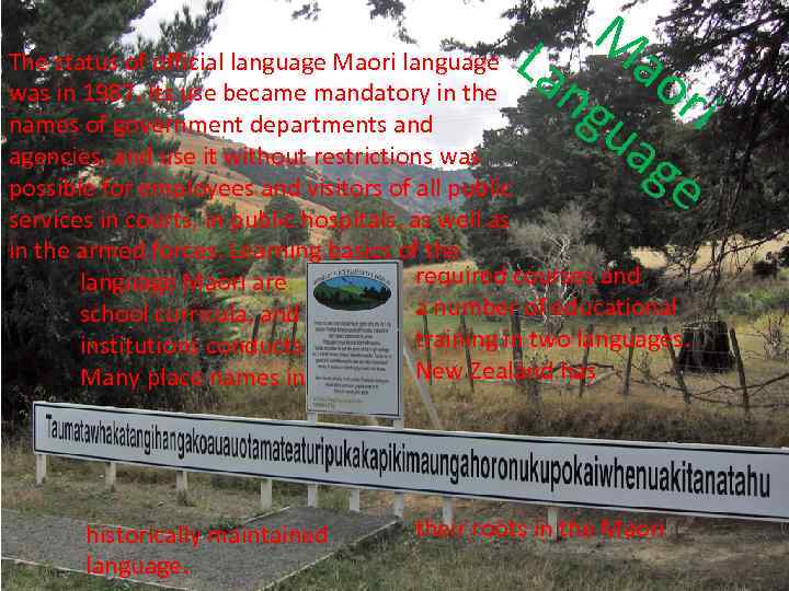 M The status of official language Maori language L an aor was in 1987.