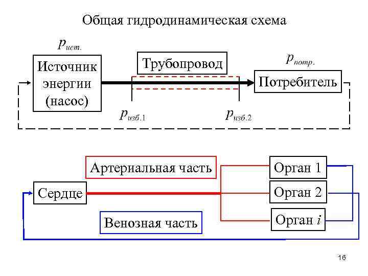 Общая гидродинамическая схема Источник энергии (насос) Трубопровод Потребитель Артериальная часть Орган 1 Орган 2