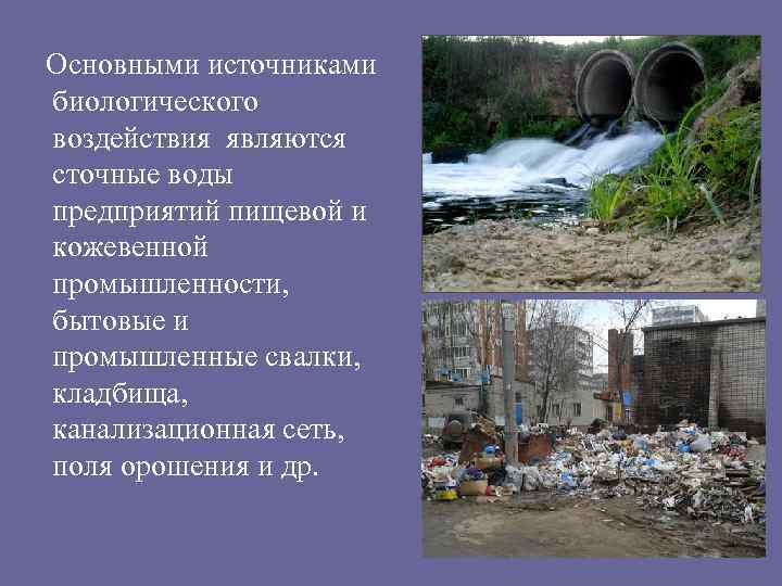 Основными источниками биологического воздействия являются сточные воды предприятий пищевой и кожевенной промышленности, бытовые и