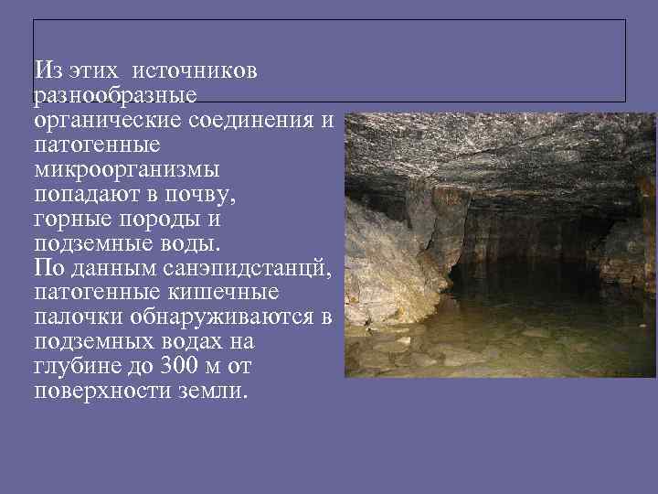 Из этих источников разнообразные органические соединения и патогенные микроорганизмы попадают в почву, горные породы