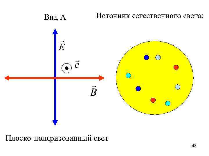 Вид А Источник естественного света: Плоско-поляризованный свет 48 