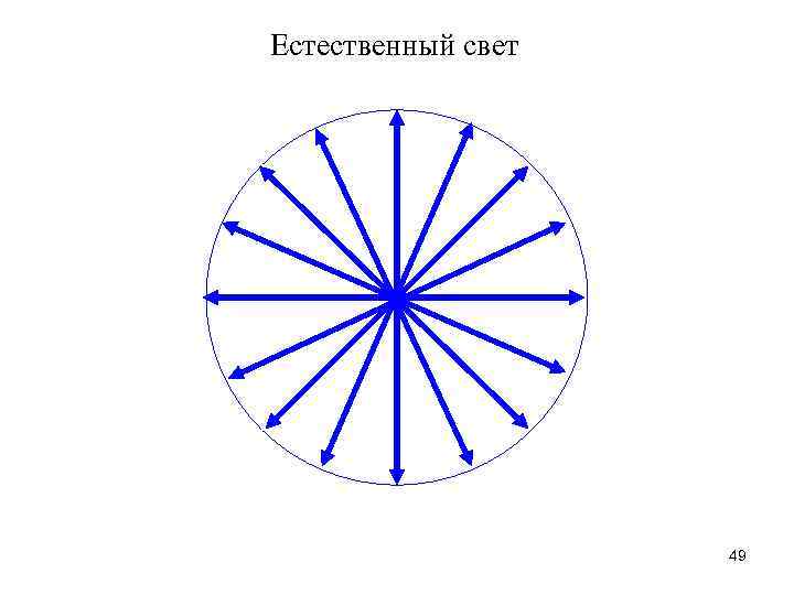 Естественный свет 49 
