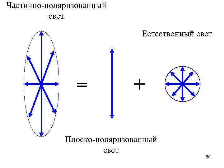 Частично-поляризованный свет Естественный свет = + Плоско-поляризованный свет 50 