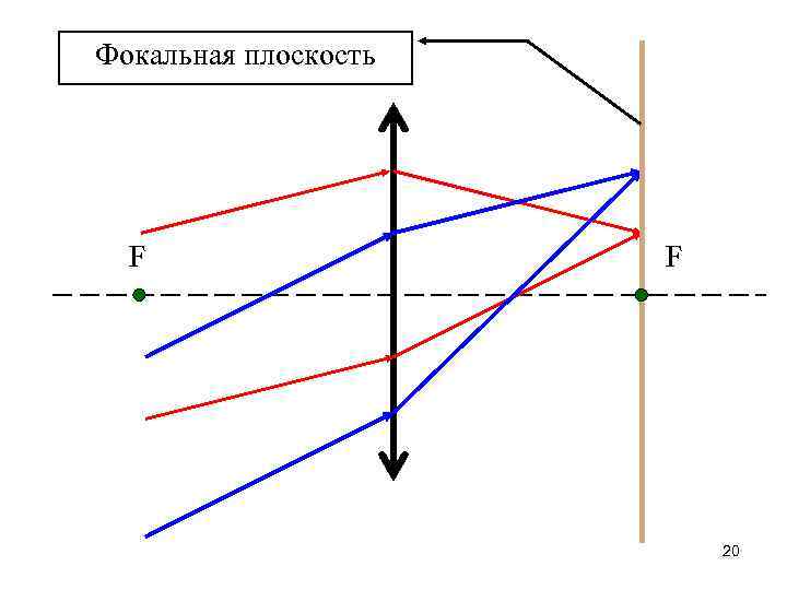 Фокальная плоскость F F 20 