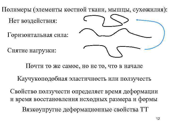 Полимеры (элементы костной ткани, мышцы, сухожилия): Нет воздействия: Горизонтальная сила: Снятие нагрузки: Почти то