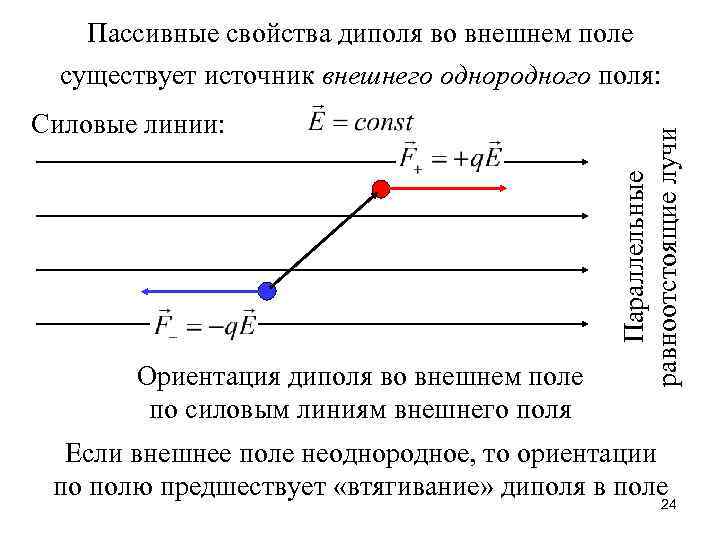 Силовые линии: Ориентация диполя во внешнем поле по силовым линиям внешнего поля Параллельные равноотстоящие