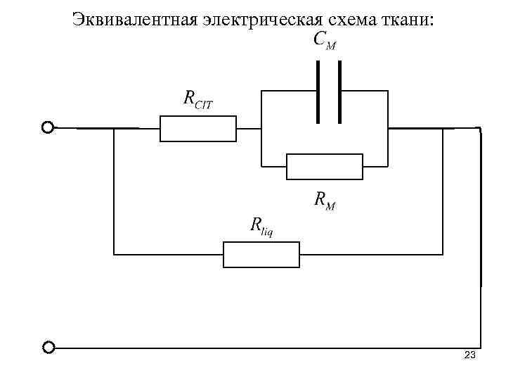 Эквивалентная электрическая схема ткани: 23 