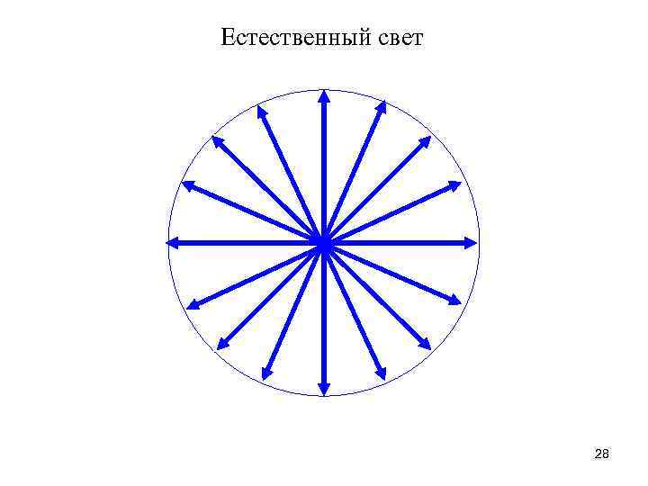Естественный свет 28 