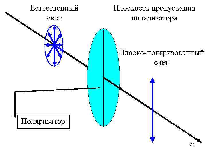 Естественный свет Плоскость пропускания поляризатора Плоско-поляризованный свет Поляризатор 30 